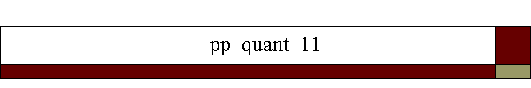 pp_quant_11